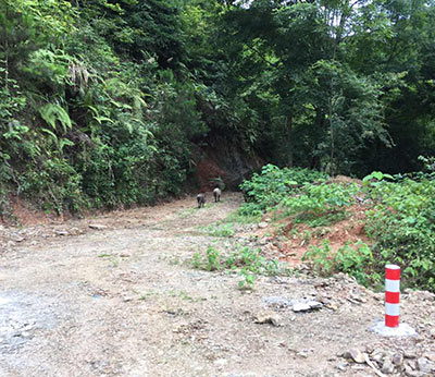 全南县天排山（压矿路段）道路改造工程