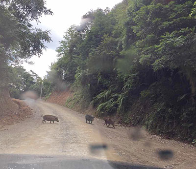全南县天排山（压矿路段）道路改造工程
