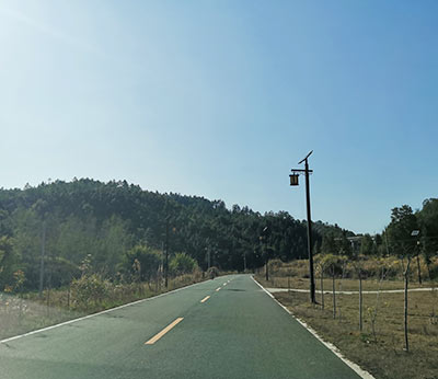 定南老城镇公路工程