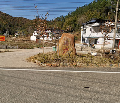 定南老城镇公路工程