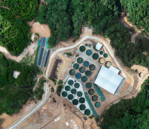 赣州市定南县细坑稀土矿开采劳务承揽